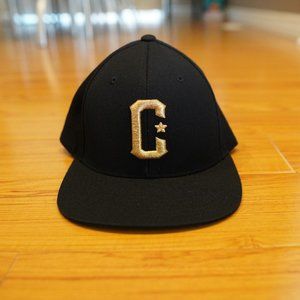 Live Fit Snapback Hat - Black/Gold